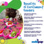 Mandala Design eTray Enrichment Tray for Dogs: Green