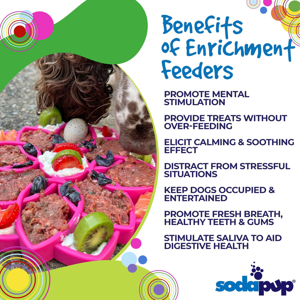 Mandala Design eTray Enrichment Tray for Dogs: Green
