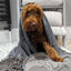 Pet Wiz - Microfibre Noodle / Chenille Dog Towel