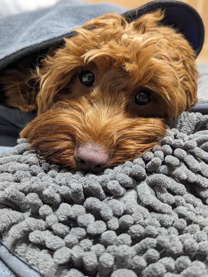 Pet Wiz - Microfibre Noodle / Chenille Dog Towel