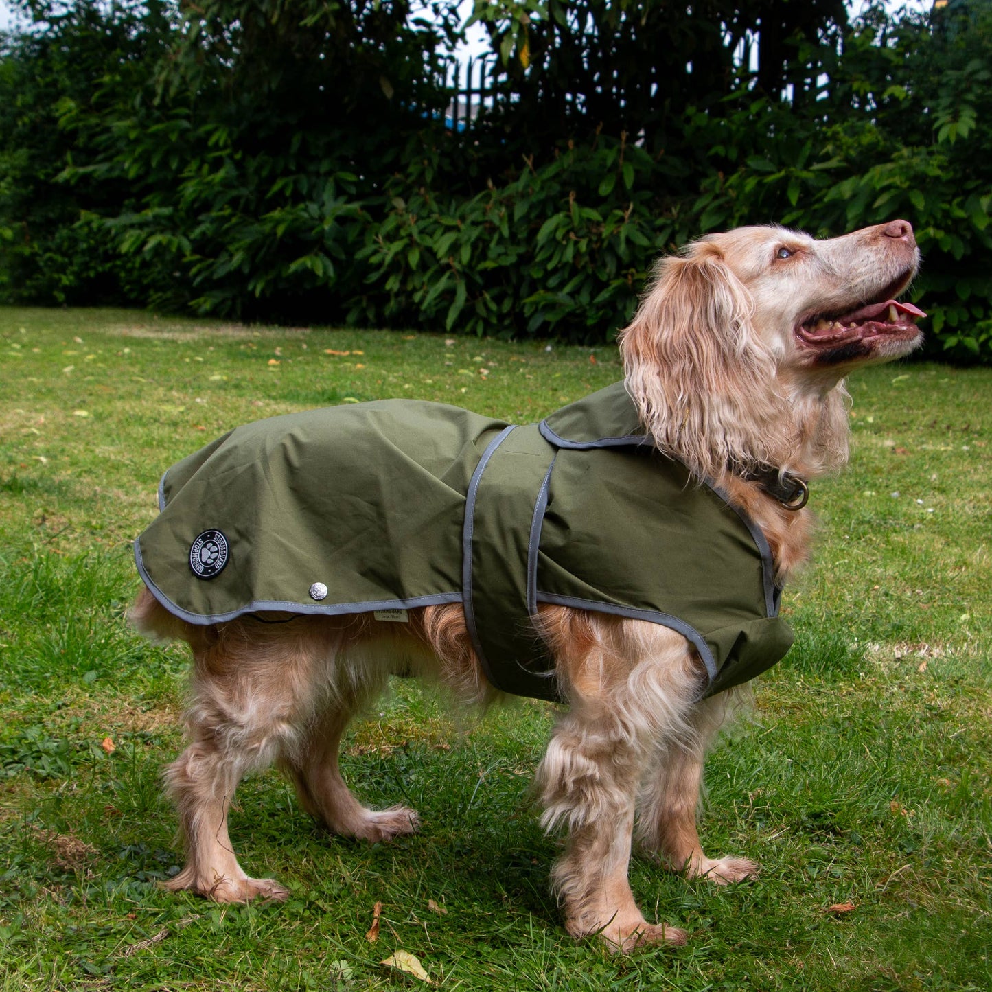 Ancol Stormguard Soft Shell  Dog Coat Khaki