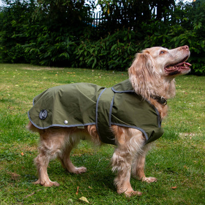 Ancol Stormguard Soft Shell  Dog Coat Khaki