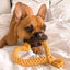 Heart Dog Toy