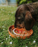 Bodhi & The Birchtree - Rainbow Enrichment Bowl Terracotta