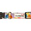Doodlebone Padded Dog Collar