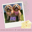 Betty Miller Grain-Free Cheese Little Bones