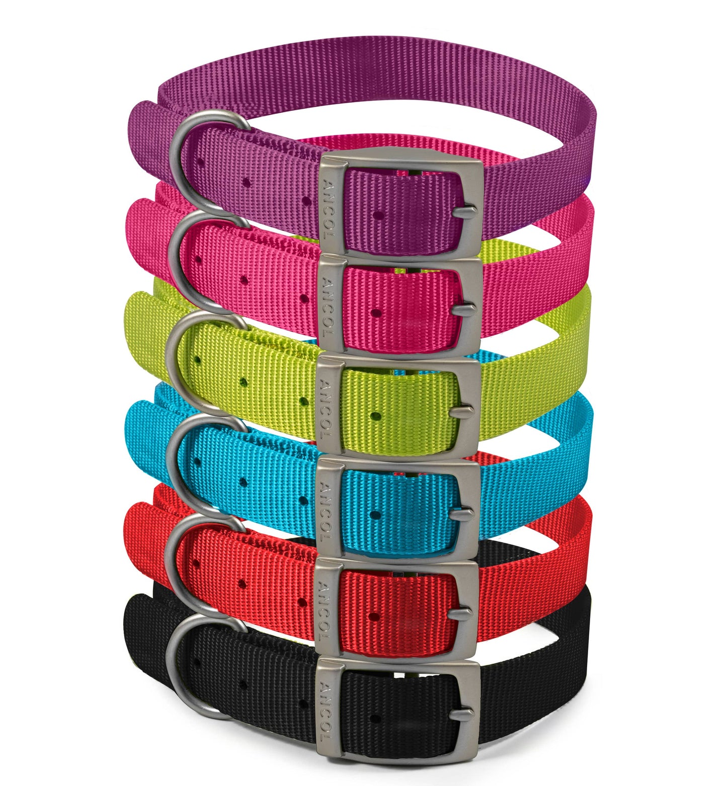 Ancol Viva Buckle Collar Purple