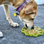 Mandala Design eTray Enrichment Tray for Dogs: Green