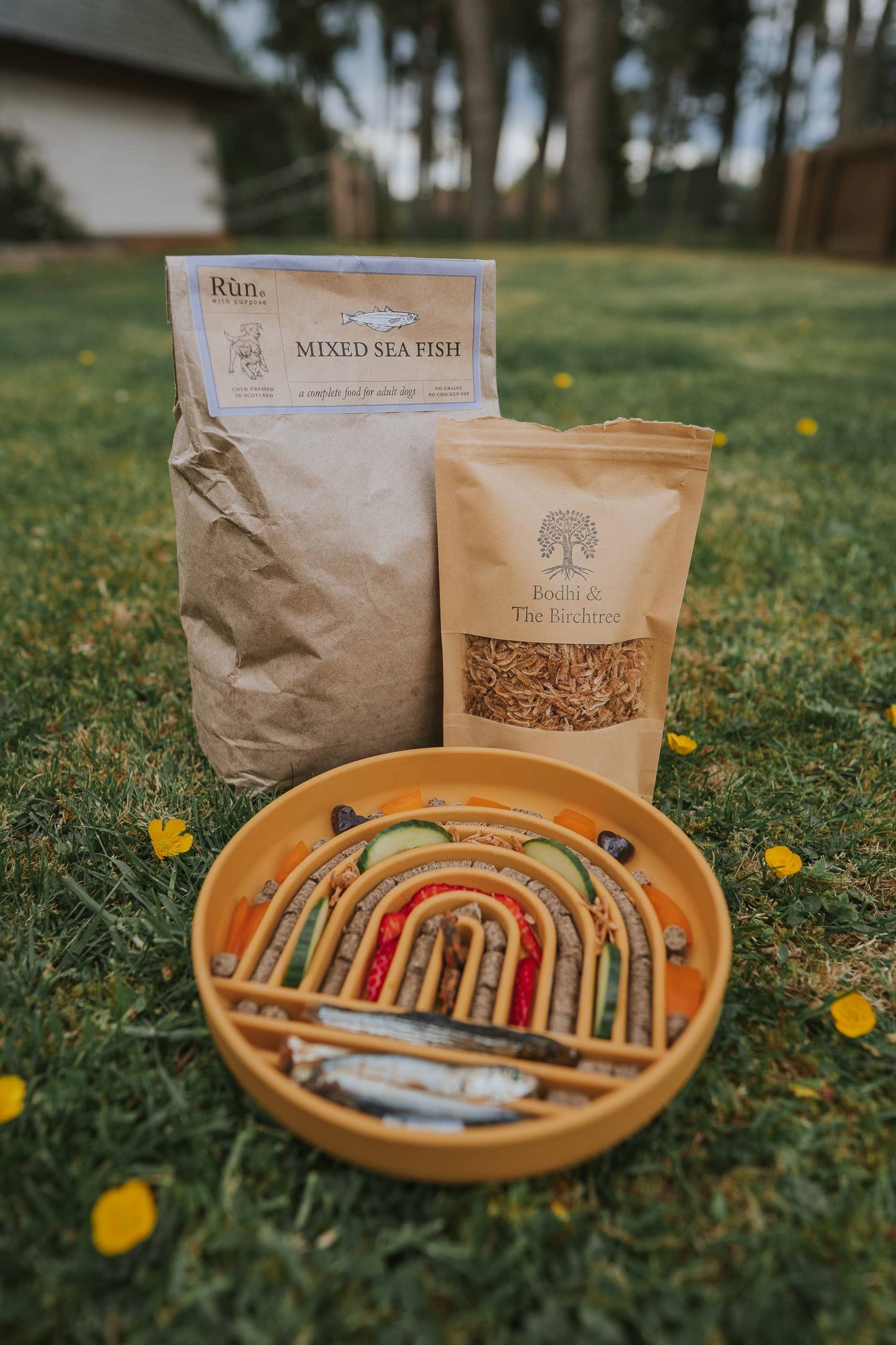 Bodhi & The Birchtree - Rainbow Enrichment Bowl Honey