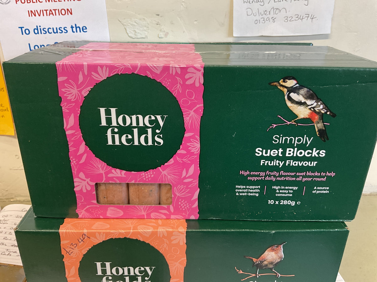 Honey fields suet blocks fruity flavour box of 10