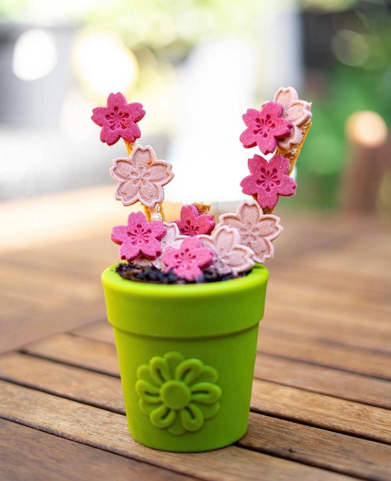 Flower Pot Durable Rubber Treat Dispenser & Enrichment: Green