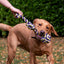 Ancol Pet Products Ltd - Play Time For Dogs Tricoloured Jumbo Rope Ball Tug