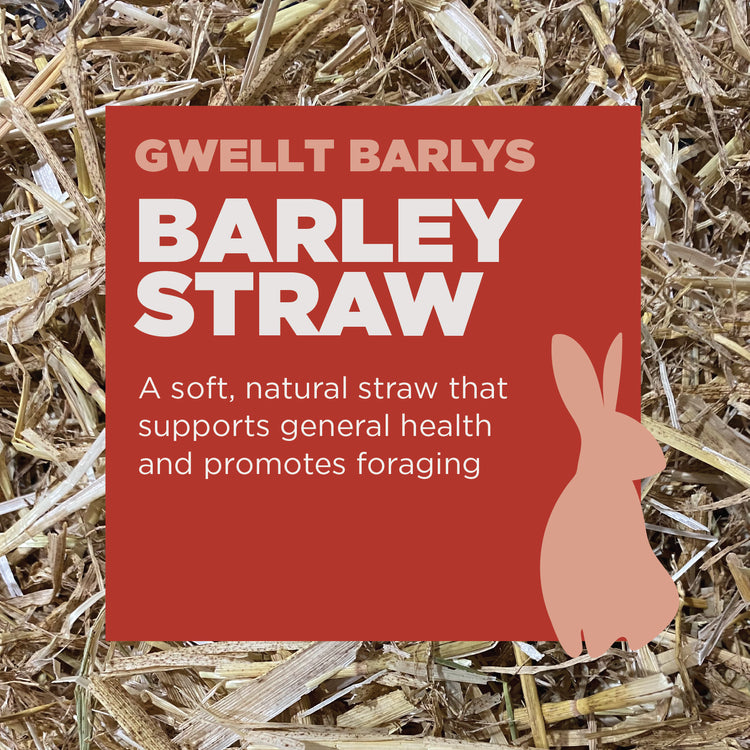 Gower Granary Barley Straw 2 kg