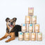 The Wellness Bundle
