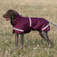 Luxe Waterproof Dog Coat 250g - Burgundy