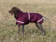 Luxe Waterproof Dog Coat 250g - Burgundy