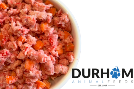 DAF Duck and Pumpkin Mince 454g