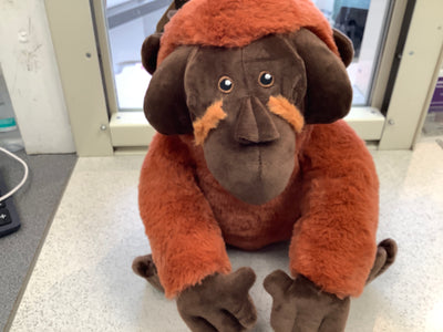 Oswald orangutan