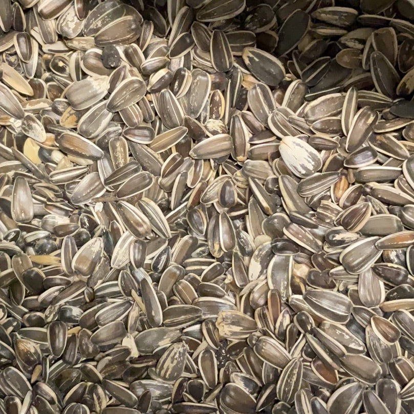 Loose sunflower seeds