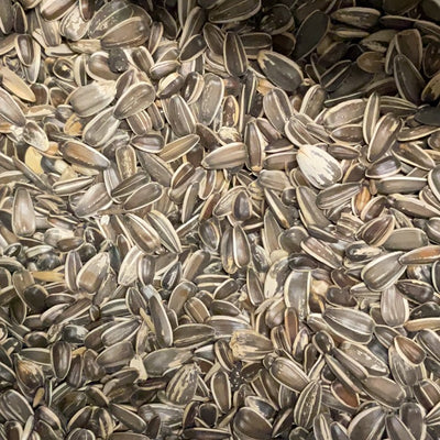 Loose sunflower seeds