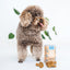 Gut Support Dog Treats