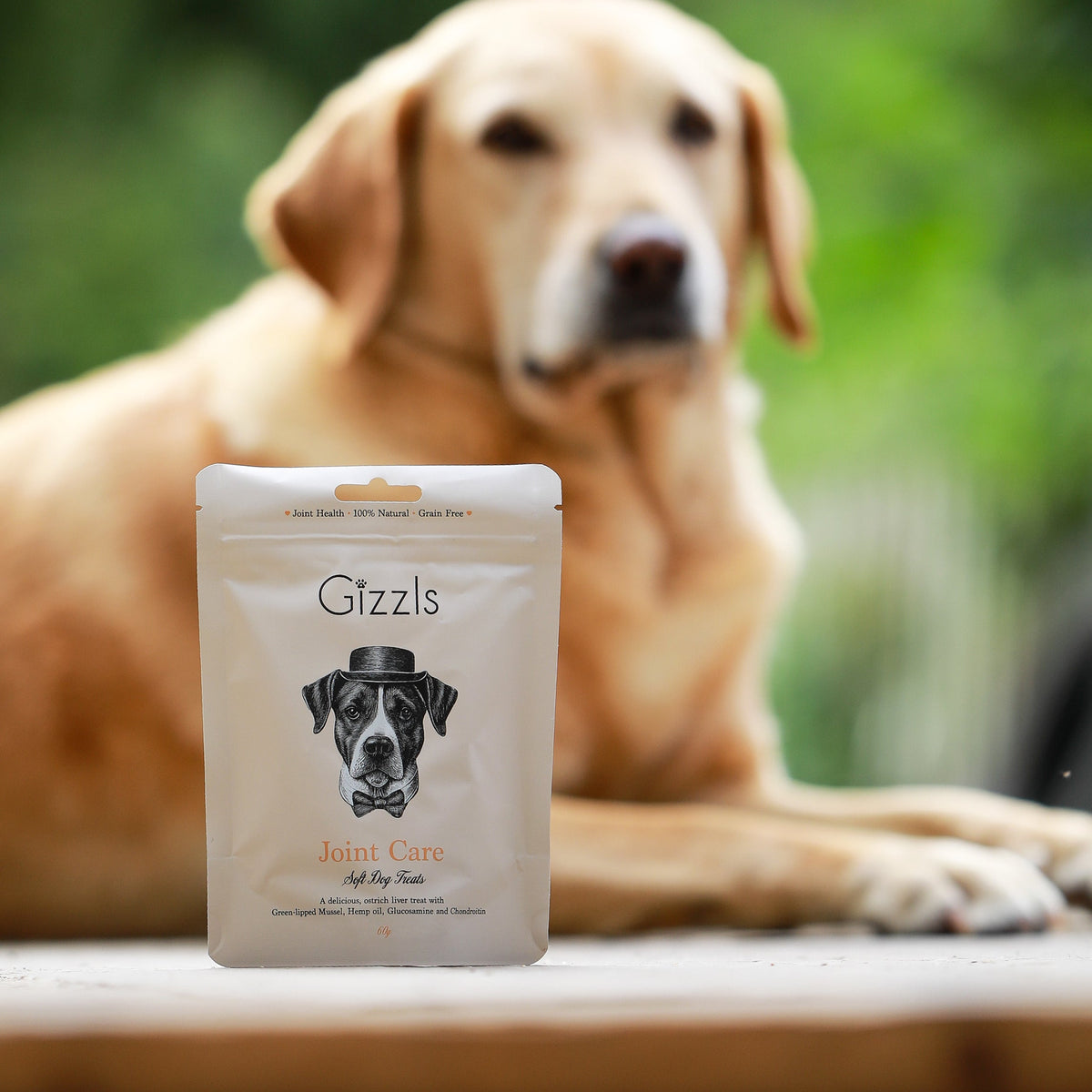Joint Care Soft Dog Treats