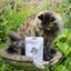 Calming Soft Cat Treats