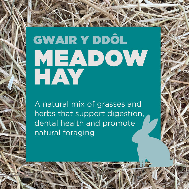 Gower Granary Meadow Hay 2.25 kg