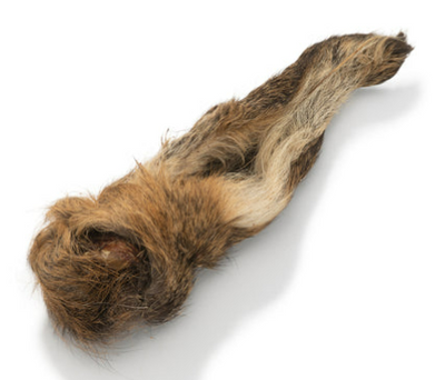 Hairy Venison Ears (Mixed Sizes)