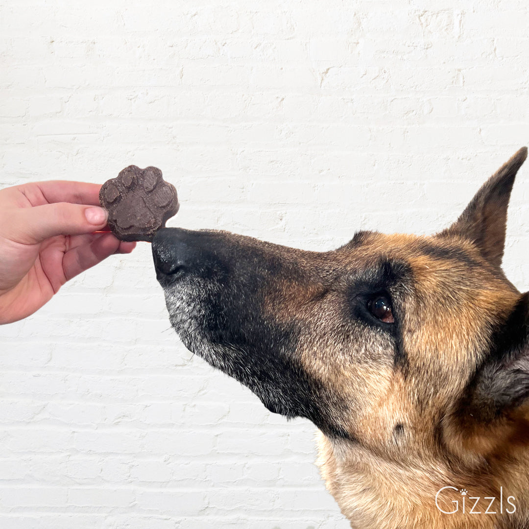 Zoomie Bites – Ostrich Liver & Blueberry Dog Treats