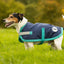 Classic Waterproof Dog Coat - Navy 150g