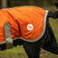 Classic 240g Waterproof Dog Coat - Orange