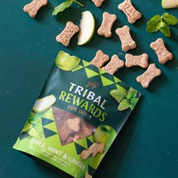 Tribal Rewards Apple, Mint & Ginger Dog Treats