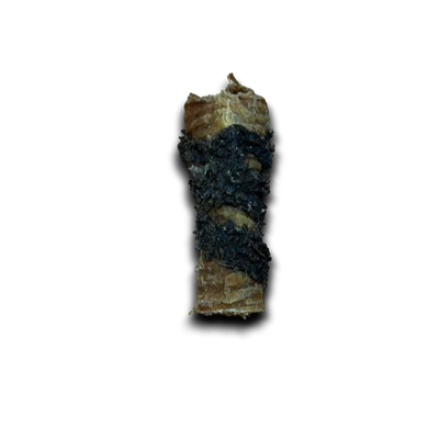 Tripe Wrapped Bully Tube