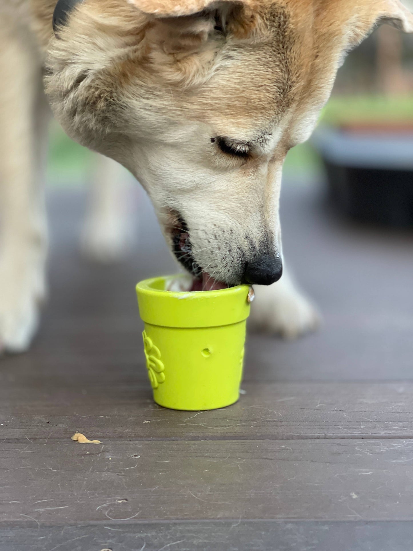 Flower Pot Durable Rubber Treat Dispenser & Enrichment: Green
