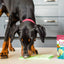 Supernature Lickeez Chicken Enrichment Spread for Dogs