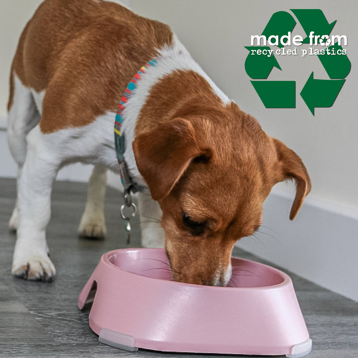 Feeding Bowl Made From Recycled Plastics- Pink: Large