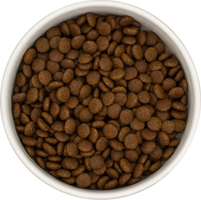 Everest & Co Connoisseur Turkey and Chicken Adult Cat