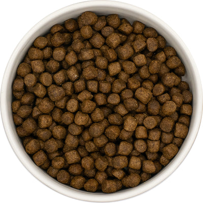 Everest & Co Puppy Chicken with Rice