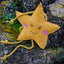 Star XL Dog and Horse Eco Toy
