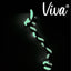 Ancol Viva Playtime Glow Toy