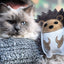 Aurora Paws - Bramble the Hedgehog (Cat Nip Infused) Eco Dog and Cat Toy