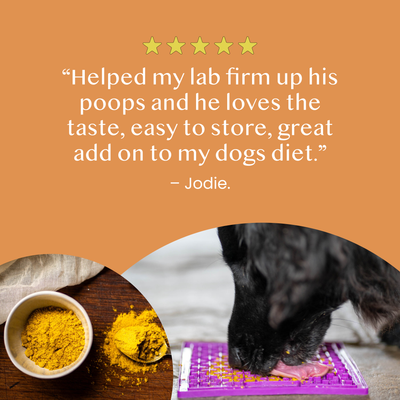 Fettle - Pure & Natural Pumpkin Powder for Dogs & Cats