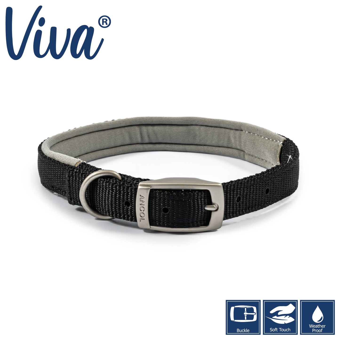 Ancol Viva Padded Buckle Collar -BLACK