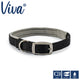 Ancol Viva Padded Buckle Collar -BLACK