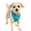 Adjustable Airmesh Dog Harness
