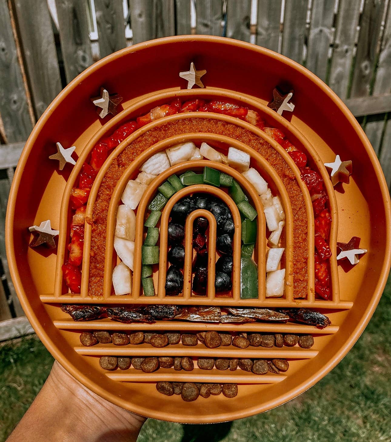 Bodhi & The Birchtree - Rainbow Enrichment Bowl Terracotta