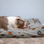Ancol Pet Products Ltd - Limited Edition Highland Cow Mattress 100 x 70 cm