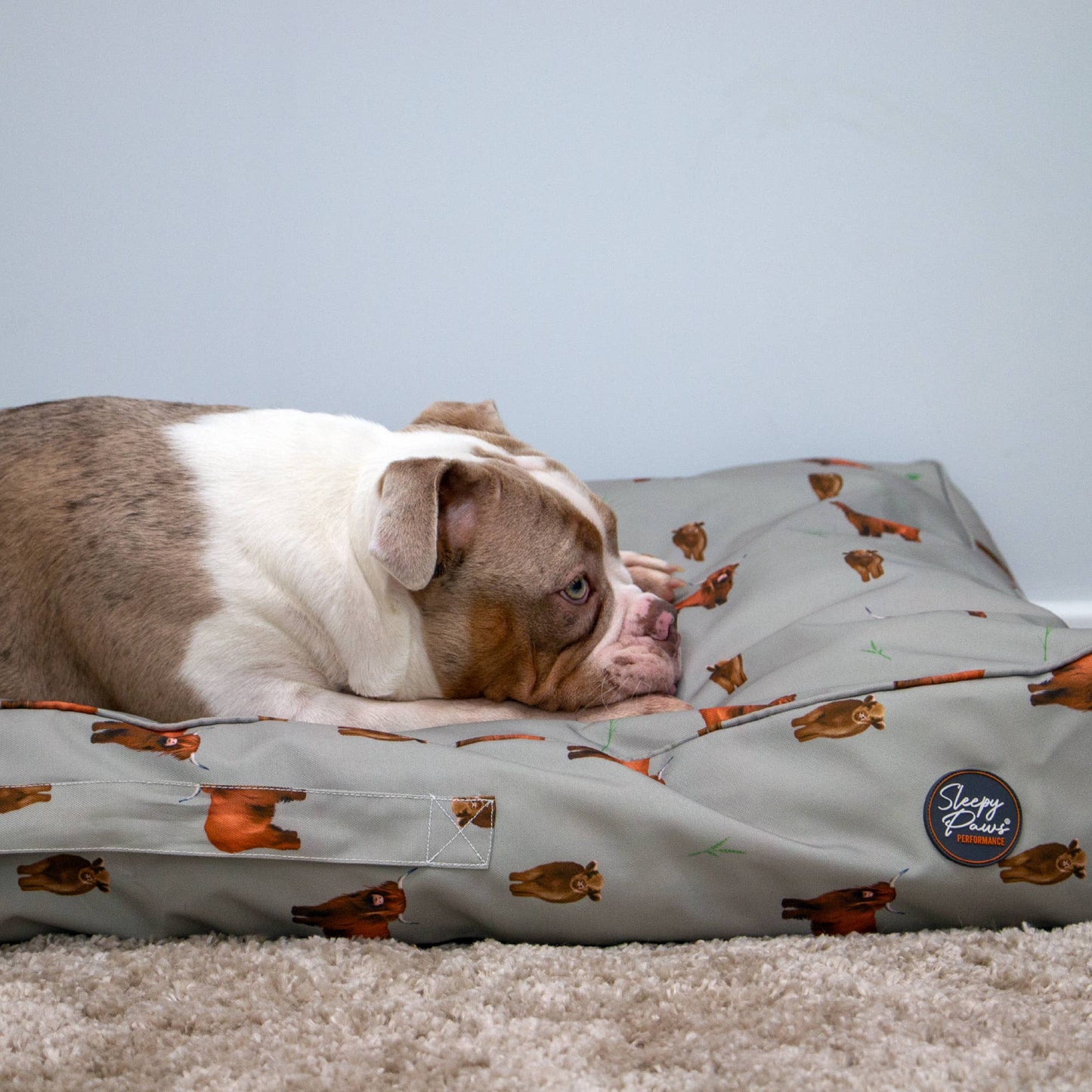 Ancol Pet Products Ltd - Limited Edition Highland Cow Mattress 100 x 70 cm