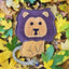 Aurora Paws - Howard the Lion shaped Tough Eco Dog Toy